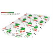 CARTA BIANCA 100 GRAMMI IP PRO-DESIGN® FORMATO SRA3 500 FOGLI