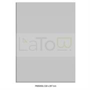 ETICHETTA ADESIVA A4 APPTAC ARGENTO FORMATO 210x297 mm 100fg