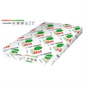 CARTA BIANCA 100 GRAMMI IP PRO-DESIGN® FORMATO A3 500 FOGLI
